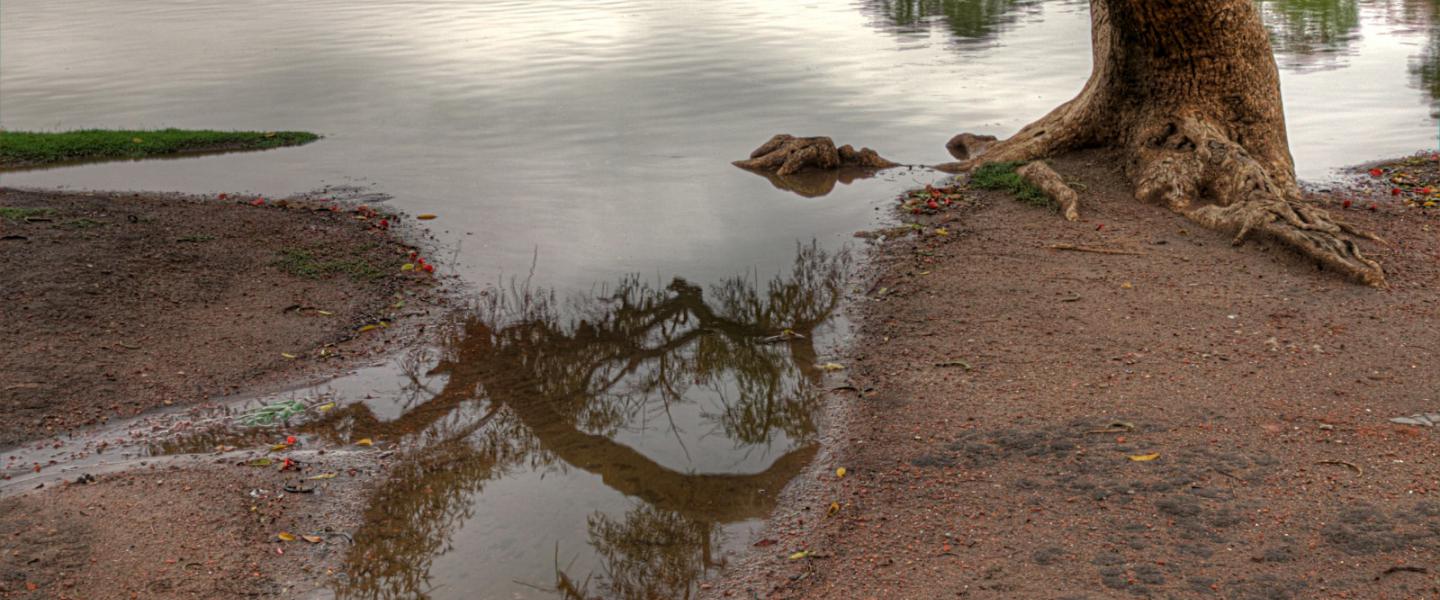 Portfolio Eintrag 1: Headerbild 2