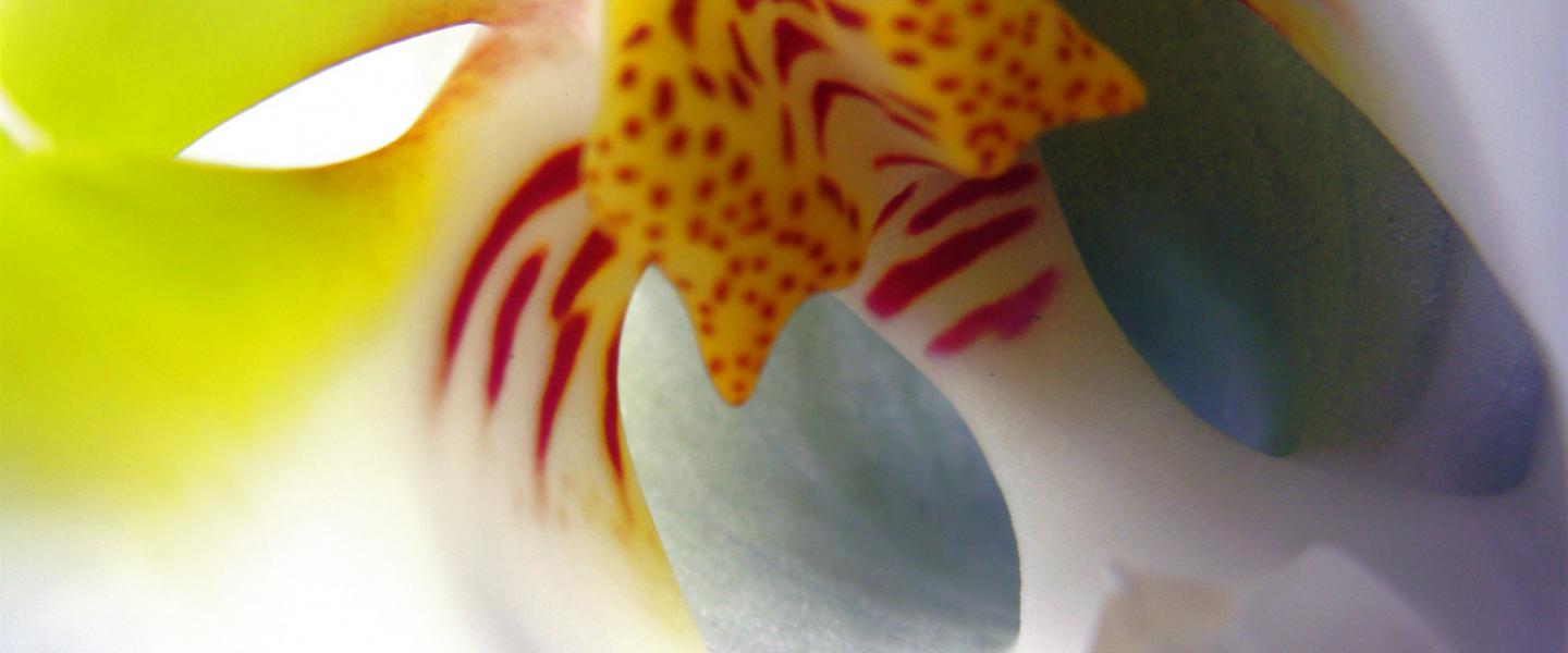 Portfolio Eintrag 1: Headerbild 1
